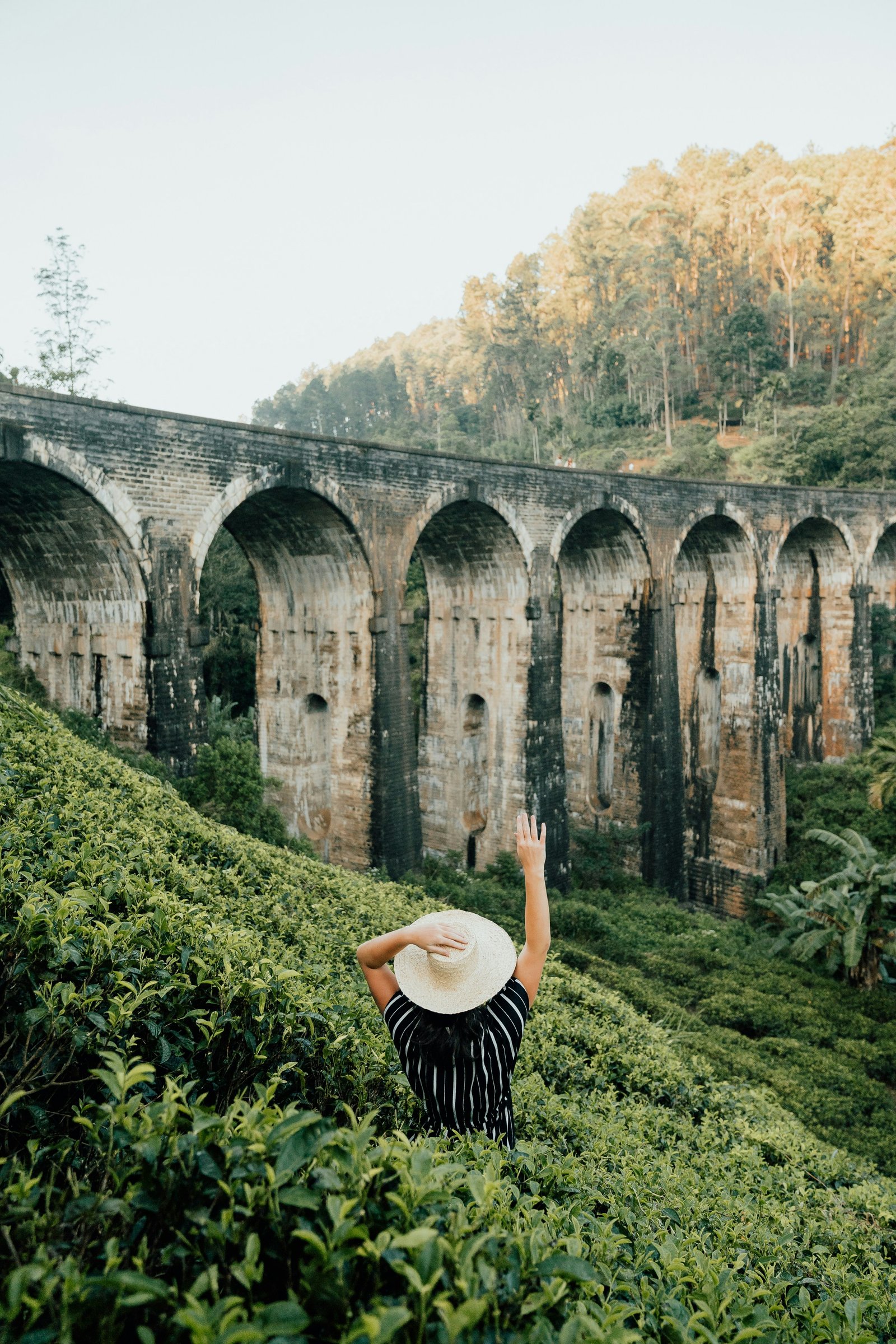 The Ella Expedition: Mountains, Tea & Trains from the South