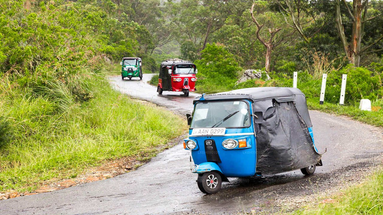 Ella Ultimate 5 Highlights Tuk-Tuk Adventure