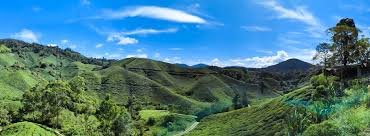 Cameron Highlands to Genting Highlands Private Transfer