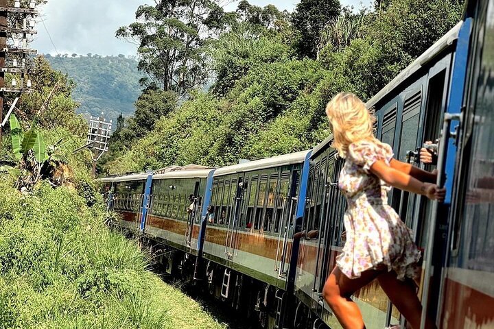 Ella Adventure Day with Train Ride and Zipline