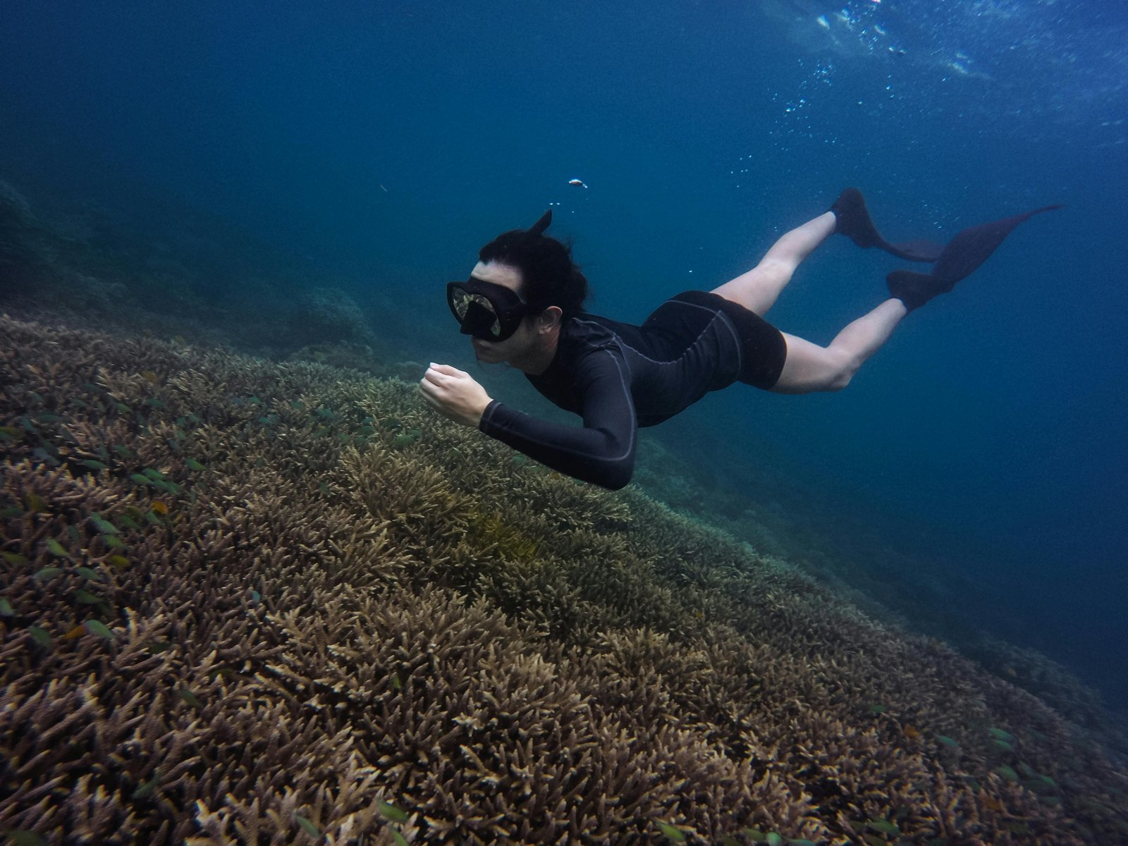 Snorkeling in Negombo