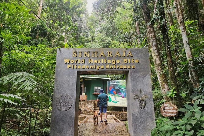 “Ahangama: Guided Sinharaja Rainforest Trek with Lunch”