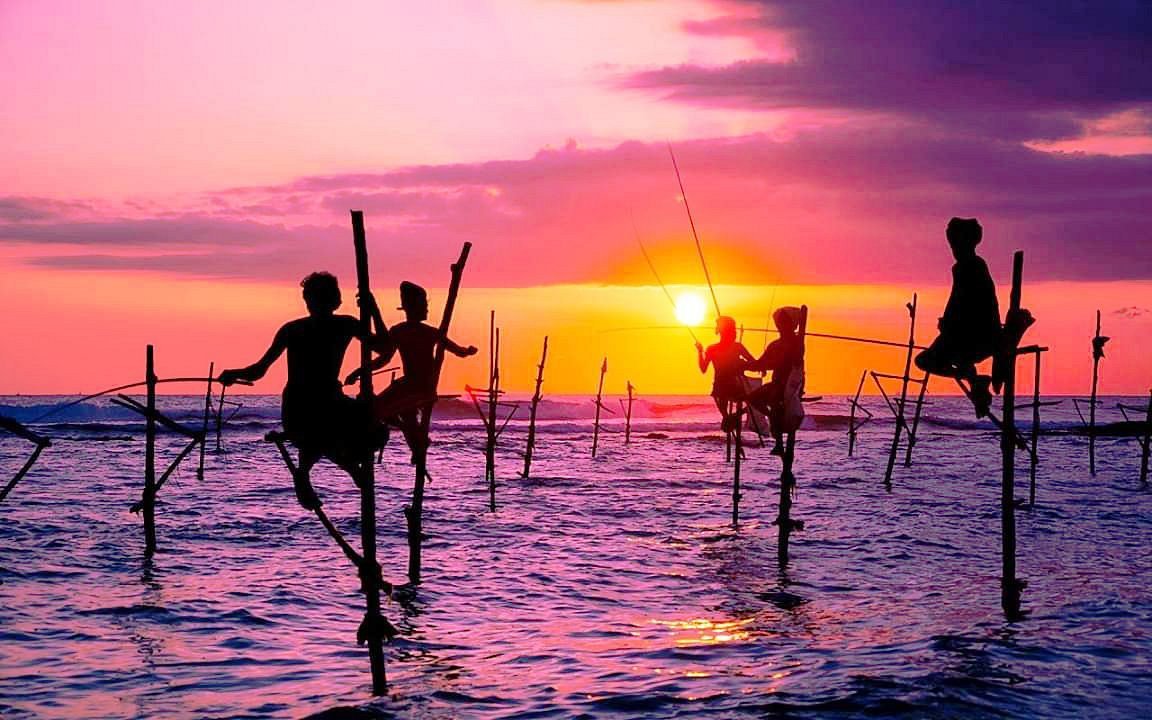 Galle to Mirissa & Surroundings: Private All-Inclusive Day