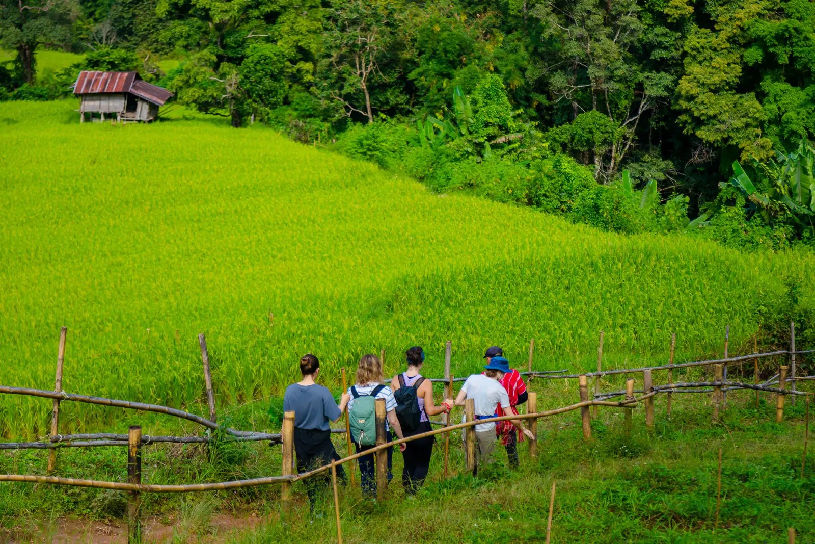 Doi Inthanon Trekking Tour with Pha Dok Siew Trail
