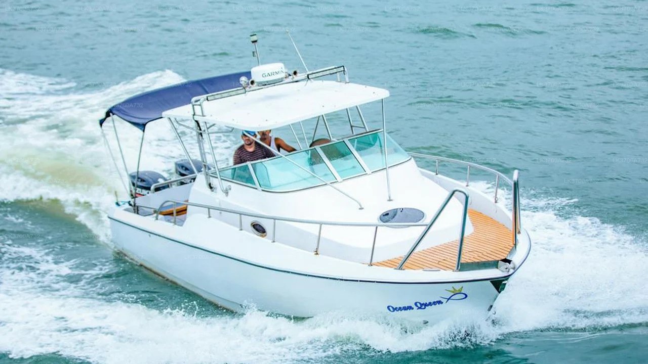 Luxury Sunset Speedboat Tour in Mirissa