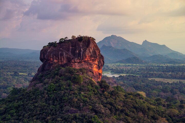 Sigiriya Lion Rock Hike & Minneriya National Park Safari