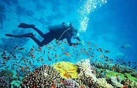 Hikkaduwa: Explore the Underwater World with Scuba Diving