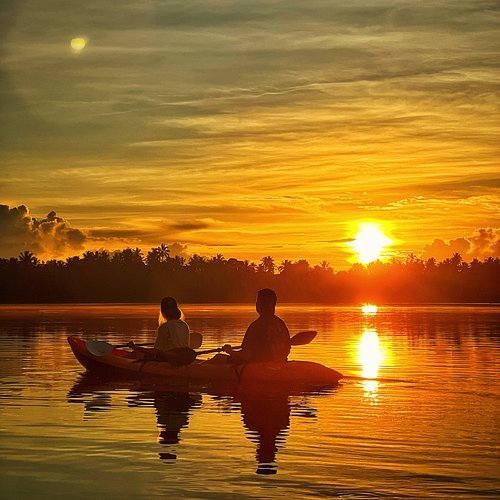 Tangalle Lagoon Kayaking & Turtle Beach Experience