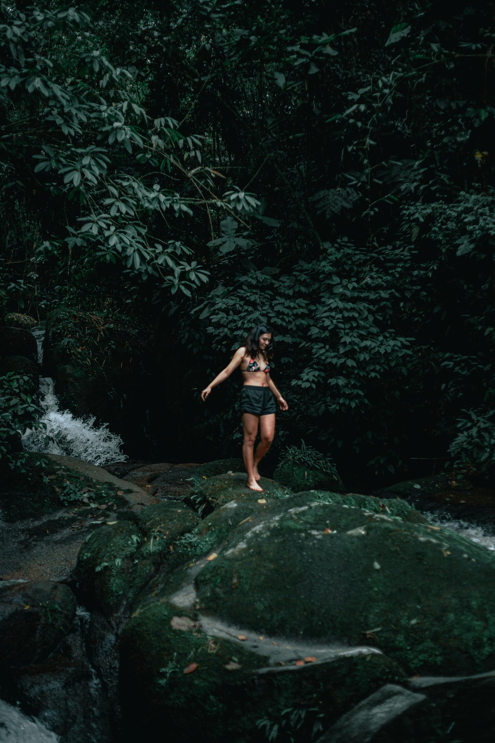 Colombo/Cmb/ Sinharaja Rainforest Day Trip with Lunch