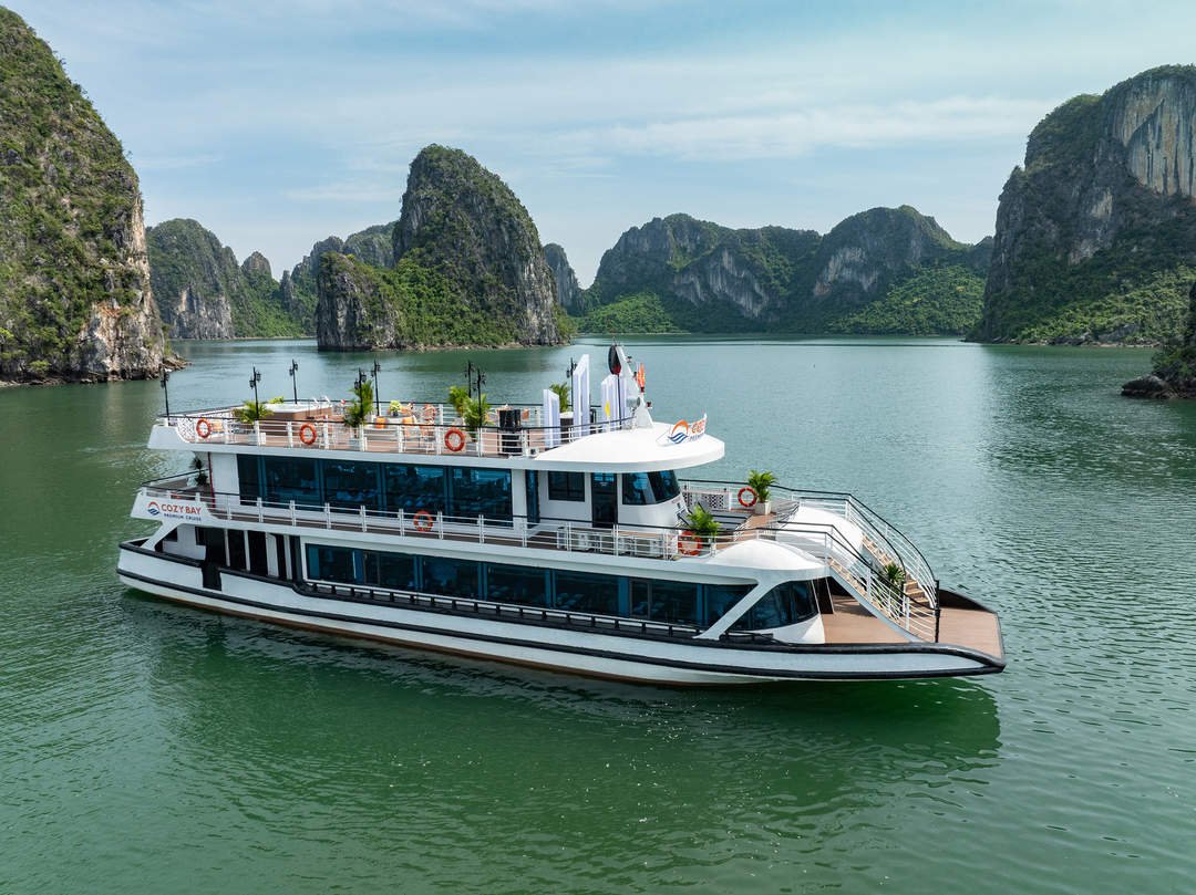 Ha Long Bay Day Tour: Sung Sot, Ti Top by Cozy Bay Cruise A