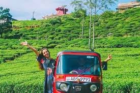 Nuwara Eliya Tea Estates & Ramboda Falls – Private Taxi Tour