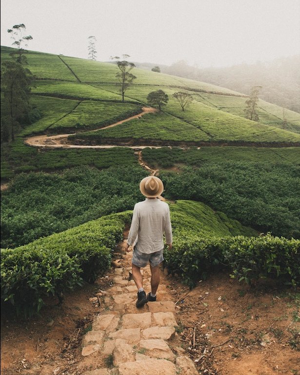 Explore Nuwara Eliya: Full-Day Private Tour