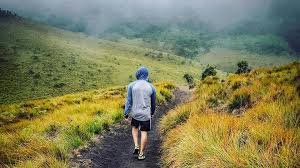 Tuk-Tuk Adventure: Horton Plains, Strawberry & Ambewela Farm