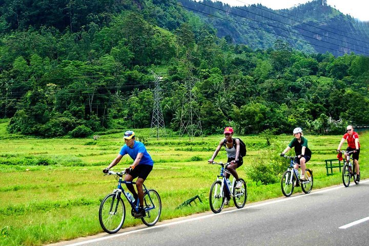 Paddy Fields & Safari: Polonnaruwa Experience