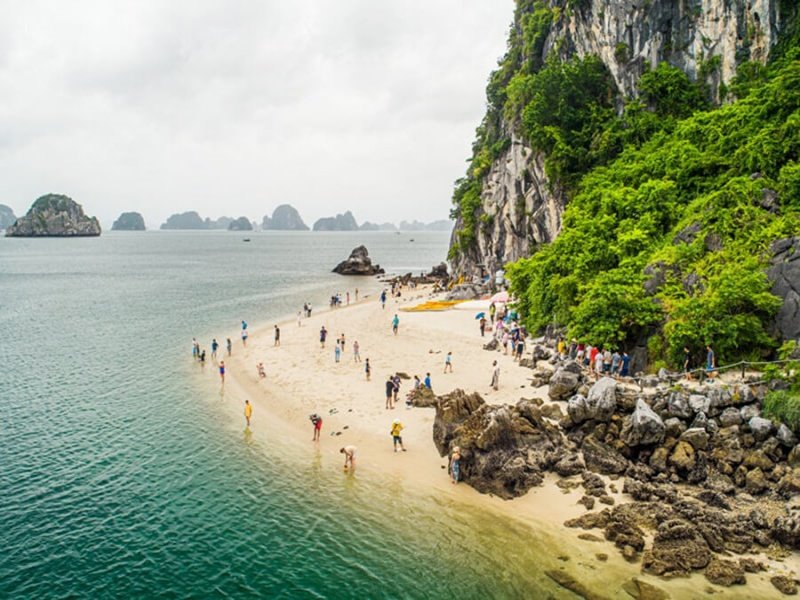 Ha Long Bay Day Tour: Sung Sot, Ti Top by Cozy Bay Cruise B