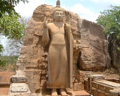 Timeless Ruins & Wild Trails from Dambulla