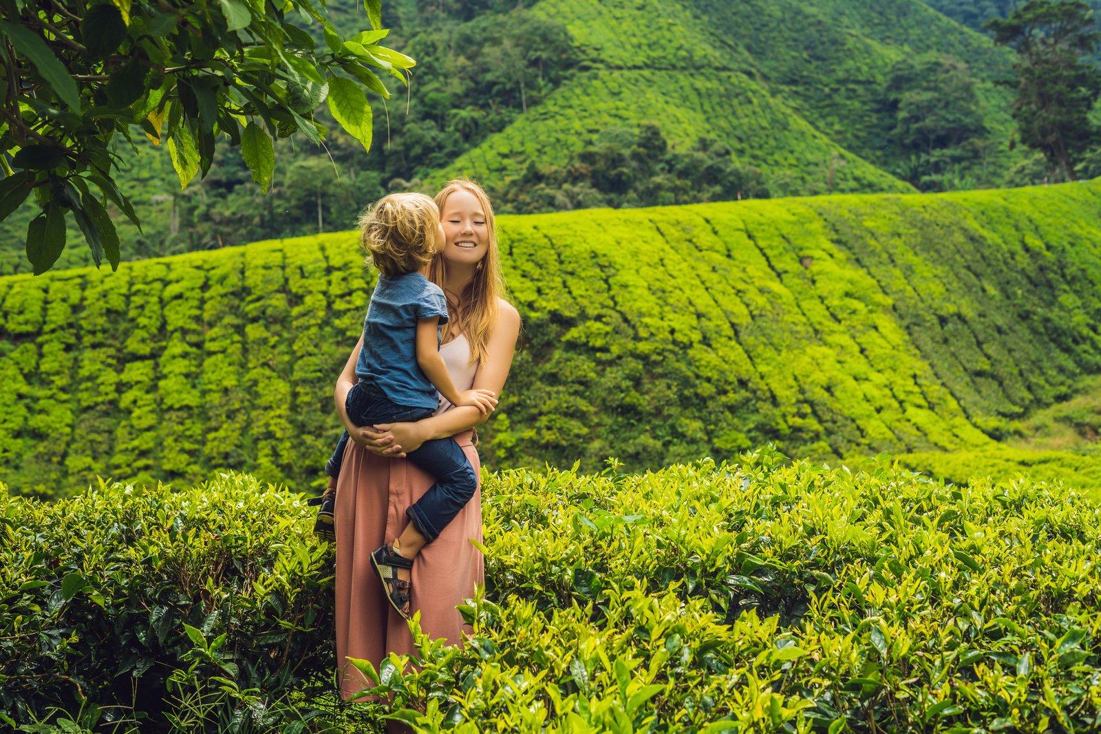 3-Day Sri Lanka Tour: Kandy Nuwara Eliya Ella & Yala Safari