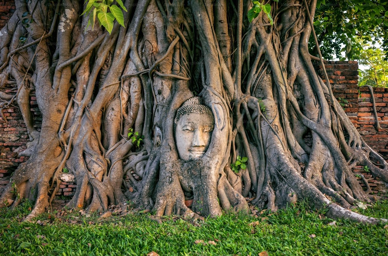 Ayutthaya Ancient City Bicycle Discovery Tour