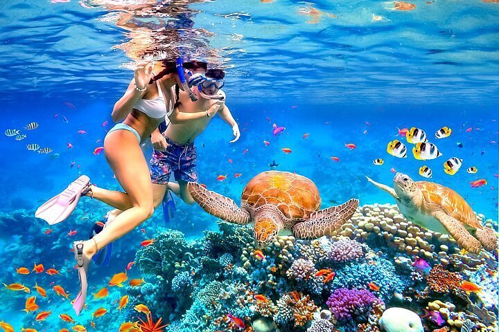 Jaffna Coastal Snorkelling Adventure with Local Guide
