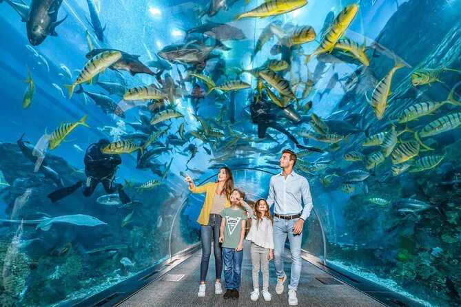 Explore Dubai Aquarium & Underwater Zoo