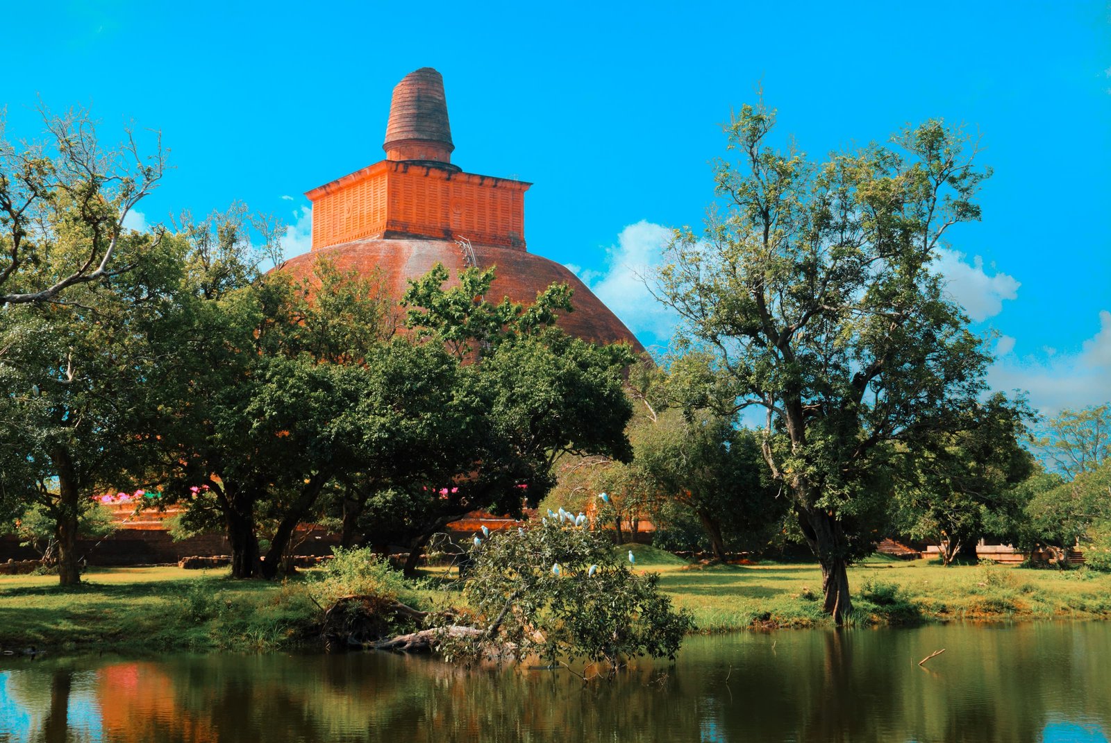 From Negombo: Full-Day UNESCO City of Anuradhapura Trip