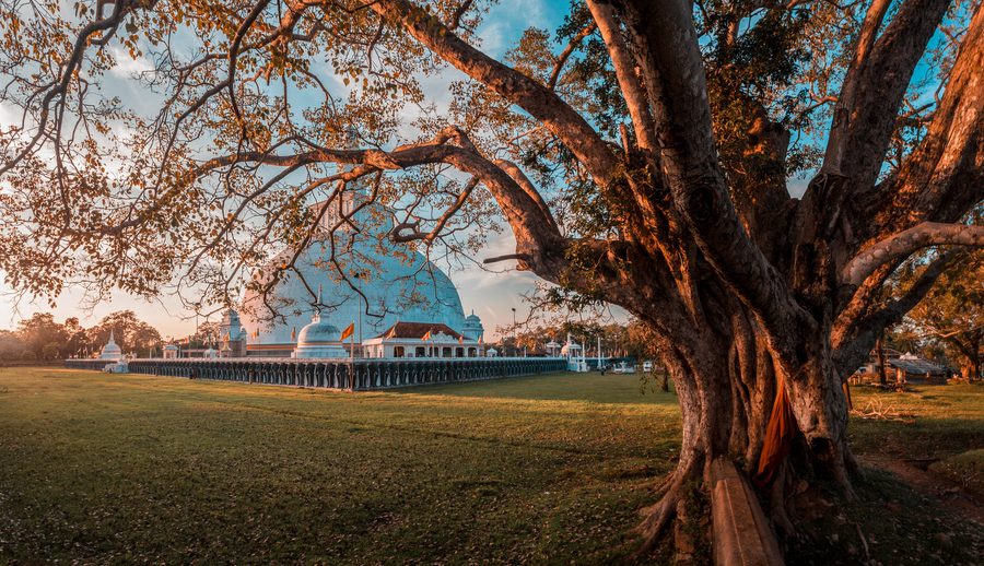 From Negombo: Full-Day UNESCO City of Anuradhapura Trip photo 3