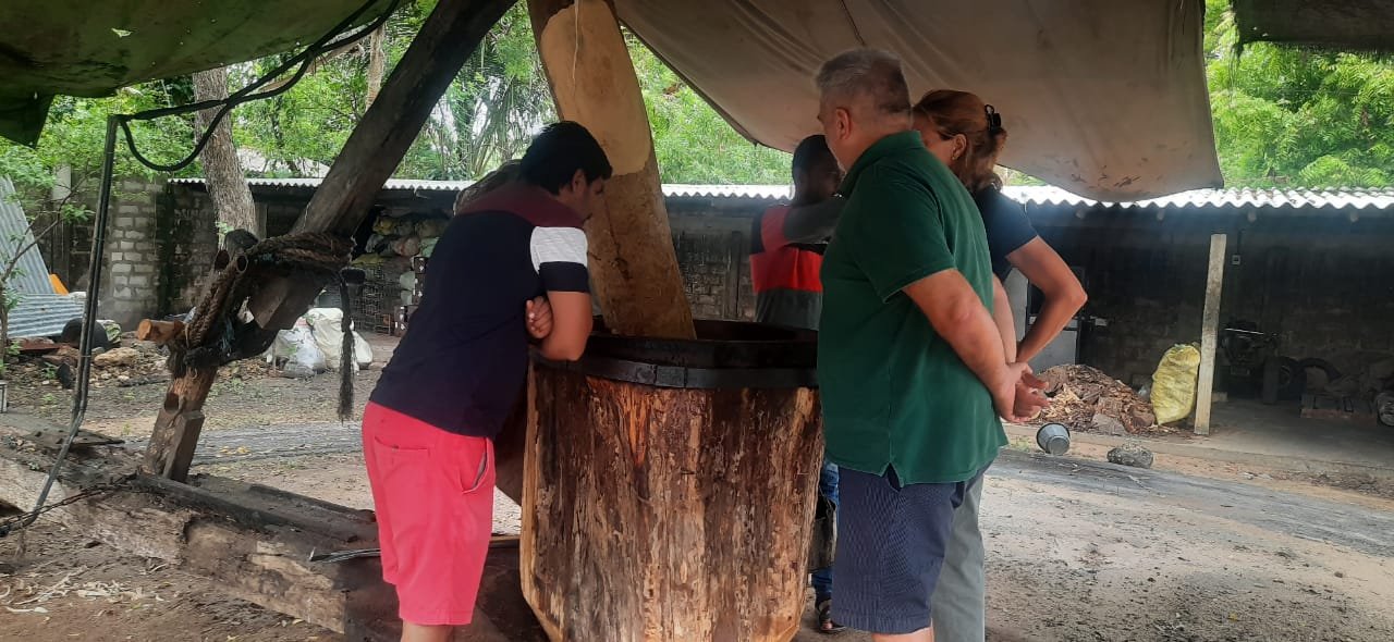 Jaffna Traditional Sesame Oil Extraction Experience