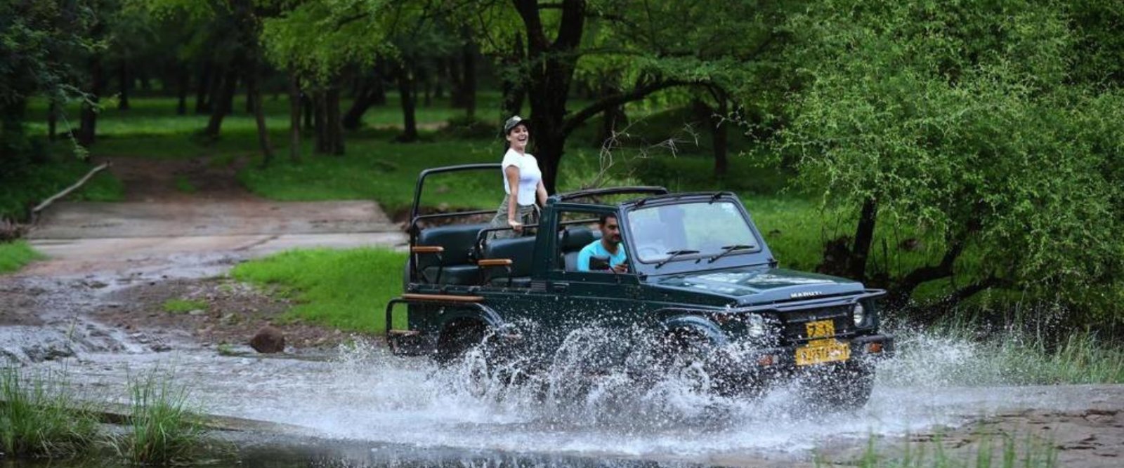 Ranthambore Private Jeep Safari Wildlife Experience