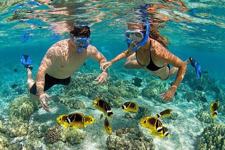 Coral Island Snorkeling Experience in Trincomalee