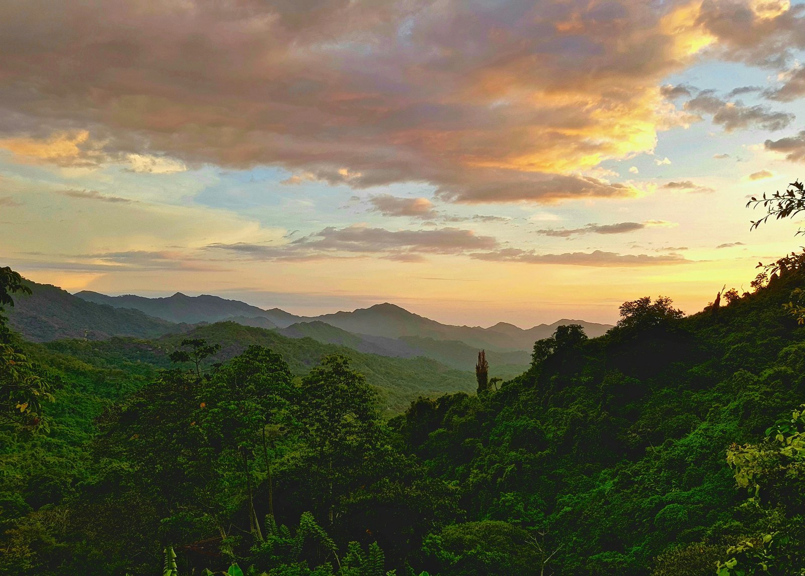 Hanthana Lizard’s Back Trekking Adventure from Kandy