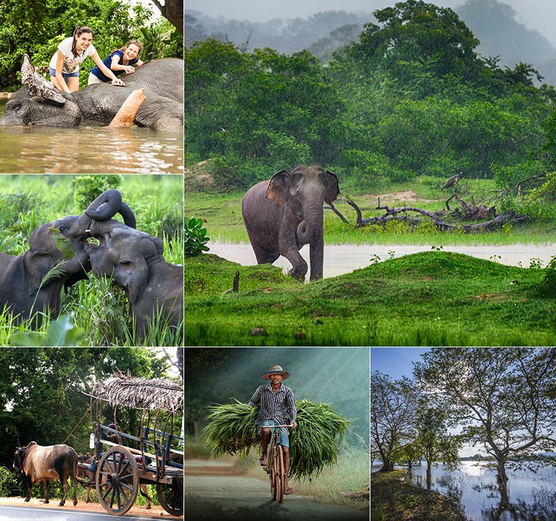 Polonnaruwa to Habarana Transfer & Cultural Journey