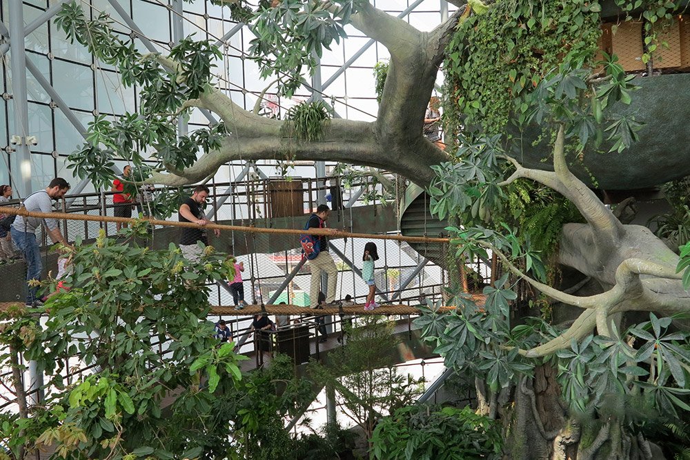 The Green Planet Dubai Experience – Indoor Jungle Adventure