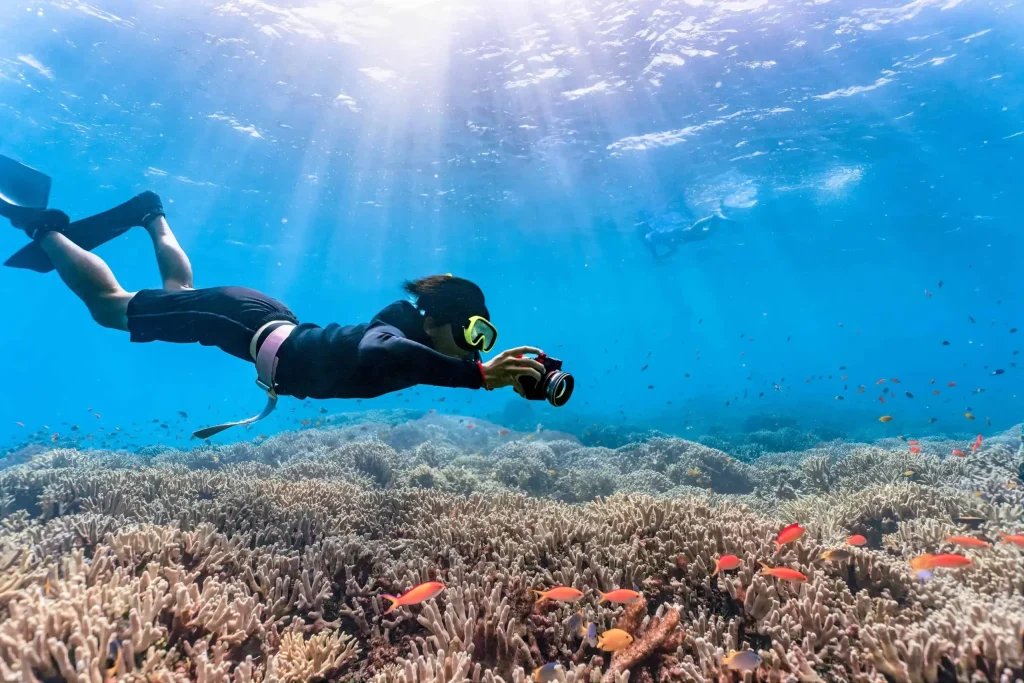 Dive into Arugam Bay: Scuba Adventures for All Skill Levels