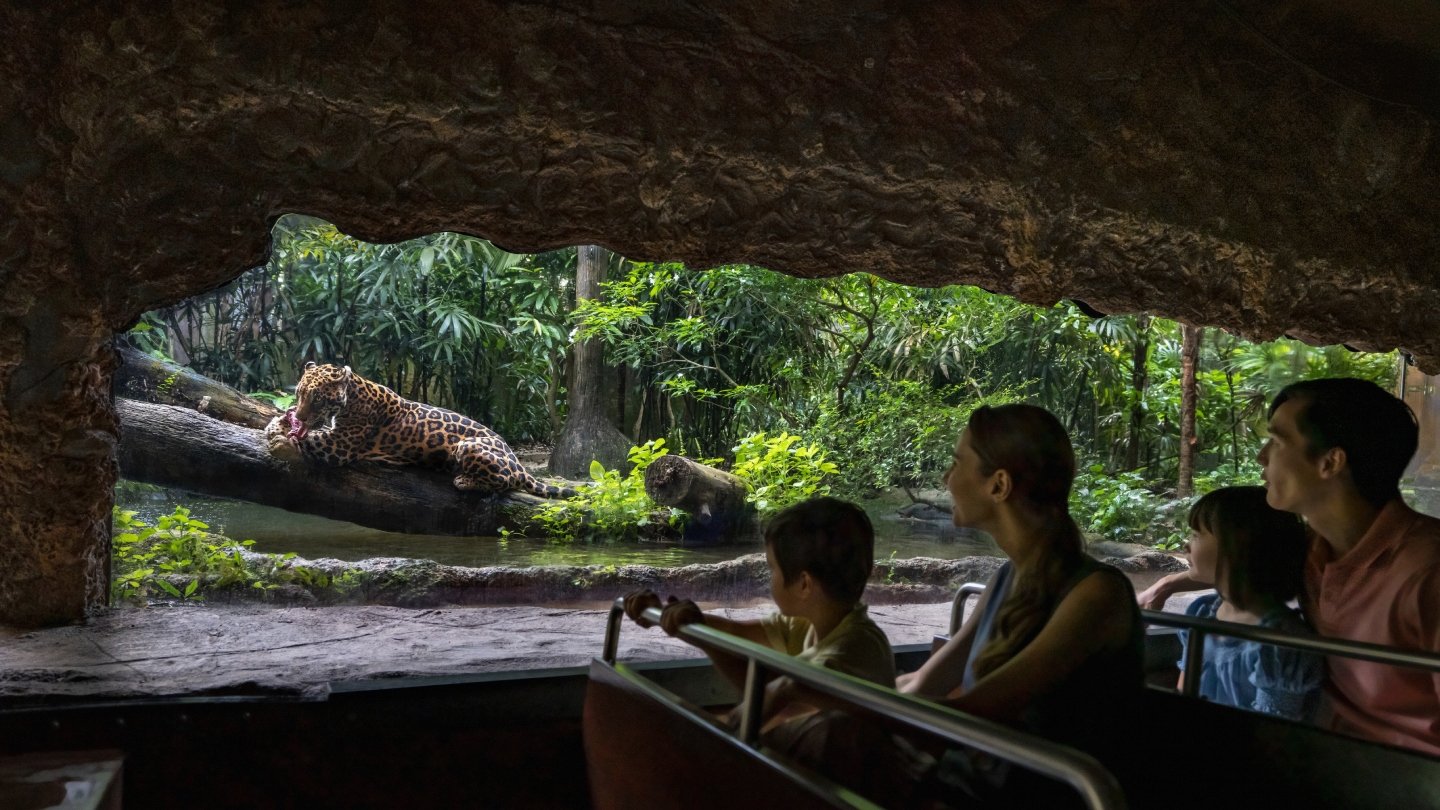 Singapore Zoo and Amazon River Quest Tour