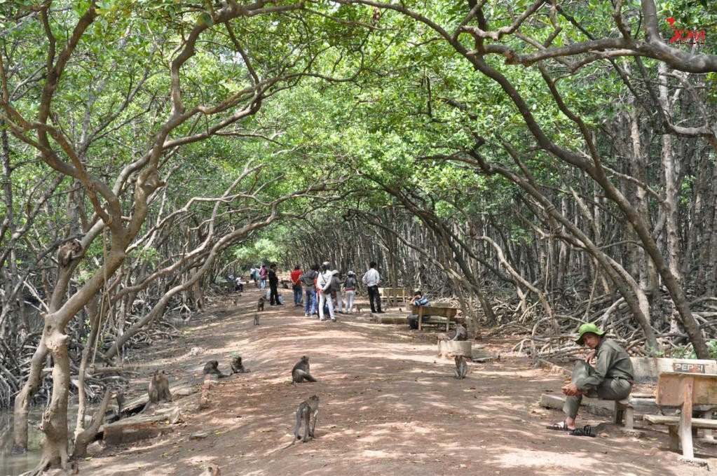 Private Monkey Island Can Gio Tour – Biosphere Day Trip