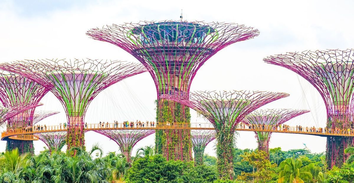 Gardens by the Bay Night with Cloud forest Sky way & Sup Tre