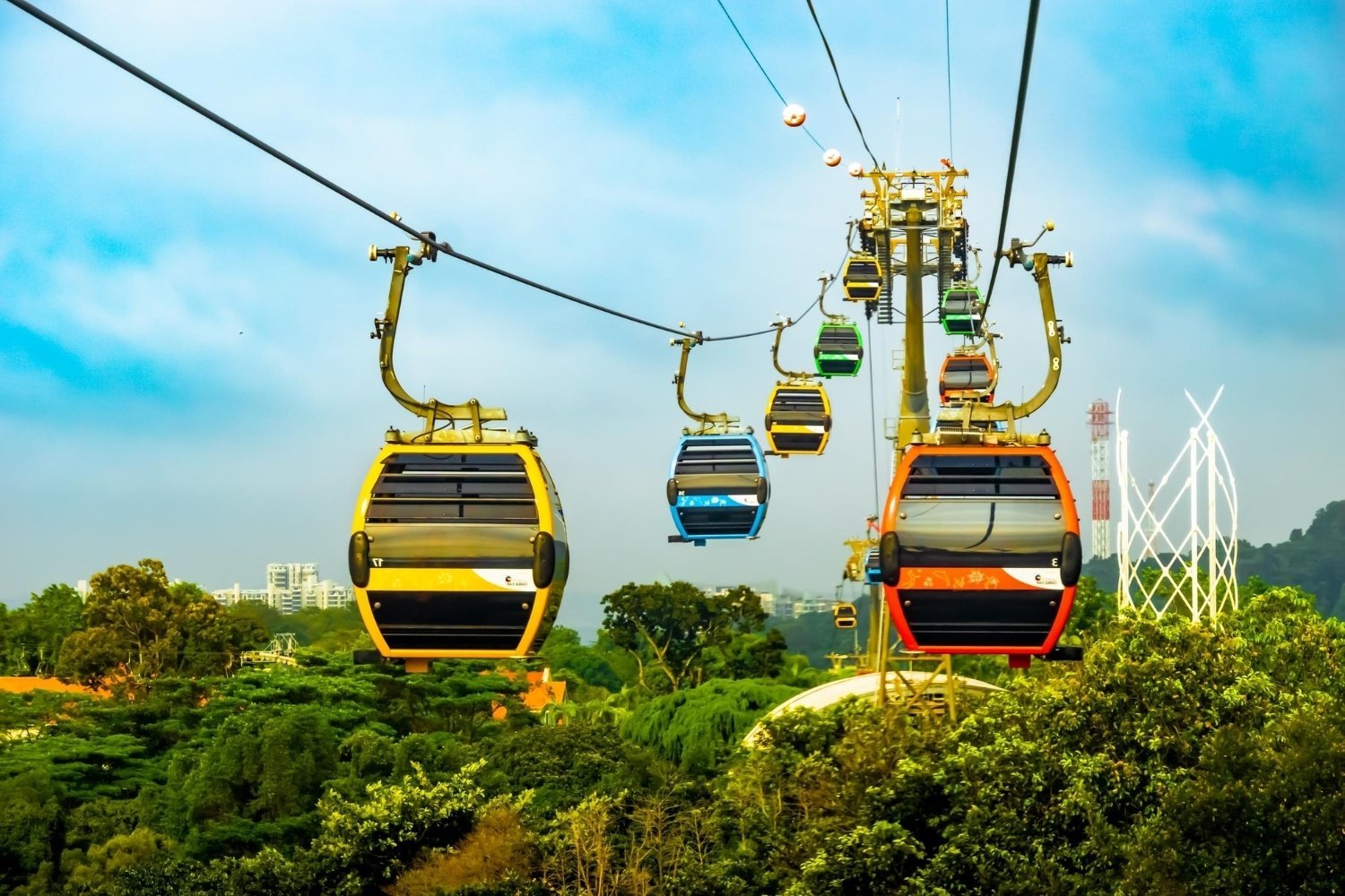 Sentosa Tour Cable Car Aquarium Trick Eye and Wings