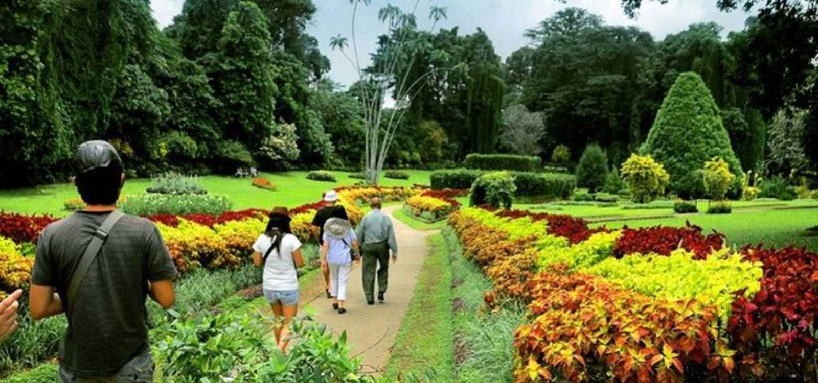 Private Scenic Transfer Mount Lavinia to Kandy Drop