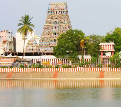 Chennai Private Day Tour with Transport and Tickets