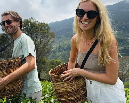 Haputale: Tea Trail Guided Walk with Lunch and Tea factory
