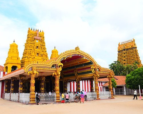 Private Transfer from Colombo/Mount Lavinia to Jaffna City