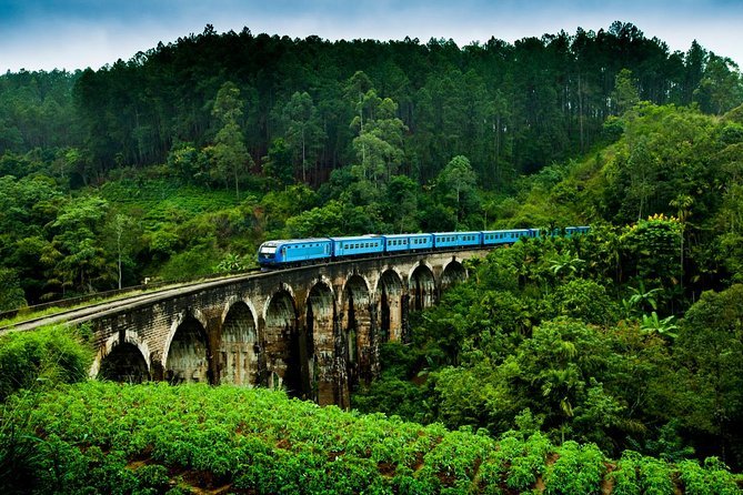 Scenic Transfer from Haputale to Ella
