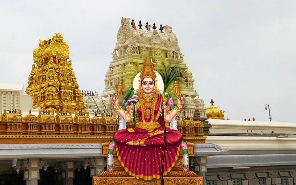 Kanchipuram Heritage and Astrology Day Tour from Chennai